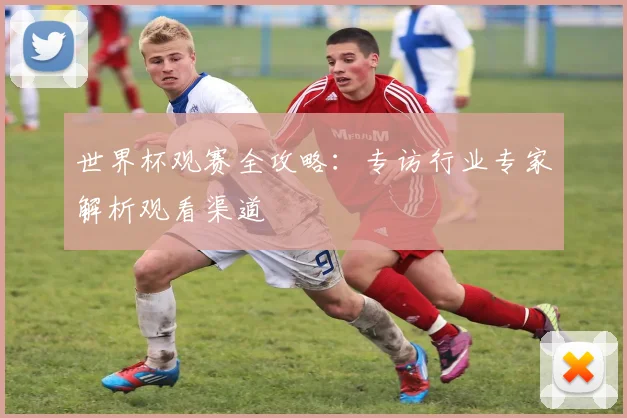 世界杯观赛全攻略：专访行业专家解析观看渠道