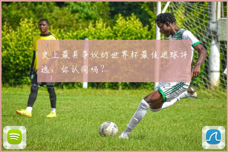 史上最具争议的世界杯最佳进球评选，你认同吗？