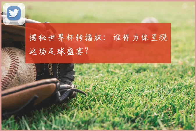 揭秘世界杯转播权：谁将为你呈现这场足球盛宴？
